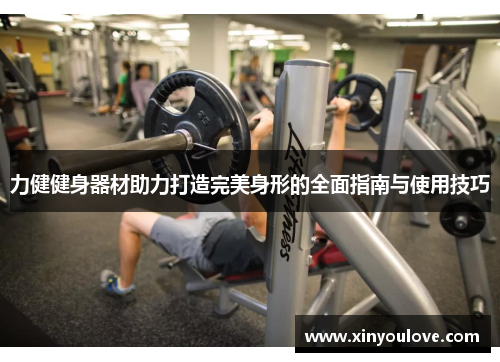力健健身器材助力打造完美身形的全面指南与使用技巧