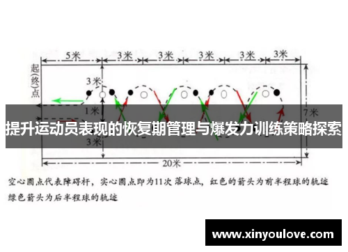 提升运动员表现的恢复期管理与爆发力训练策略探索
